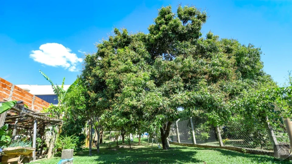 Imagens do imóveis Chácaras Á Venda Terras De Itaici Indaiatuba