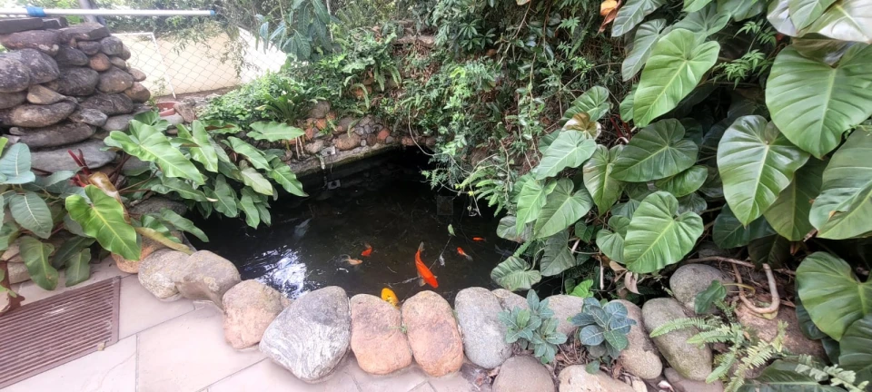 Casa À Venda São Lourenço Curitiba