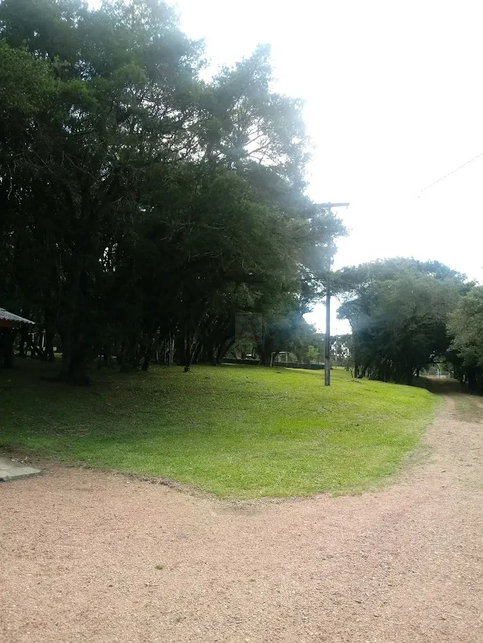 Fazenda/Sítios/Chácaras À Venda Contenda São José Dos Pinhais