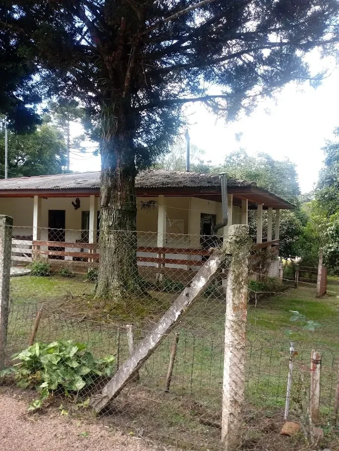 Fazenda/Sítios/Chácaras À Venda Contenda São José Dos Pinhais