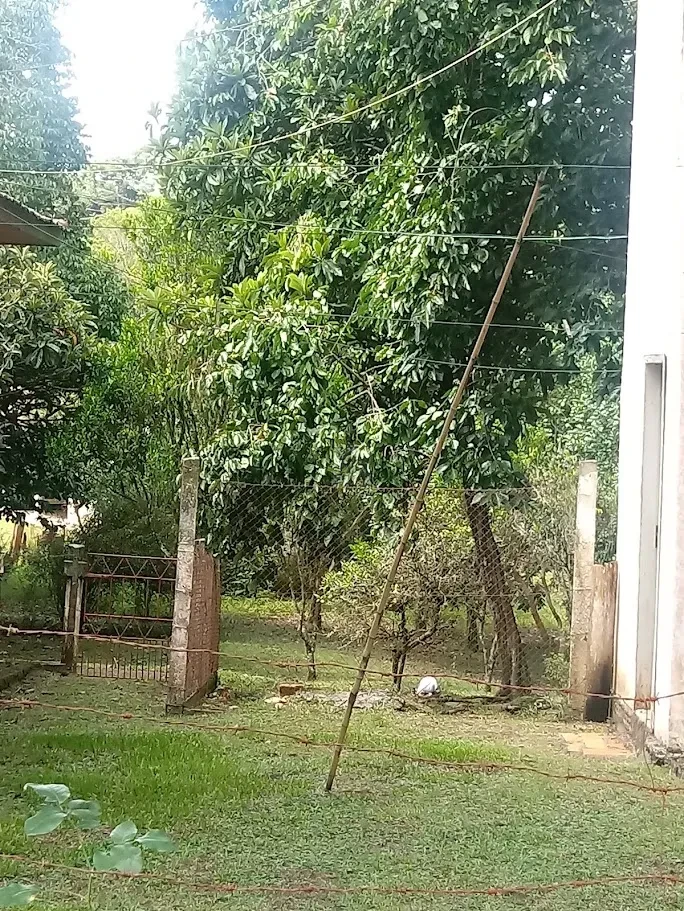 Fazenda/Sítios/Chácaras À Venda Contenda São José Dos Pinhais