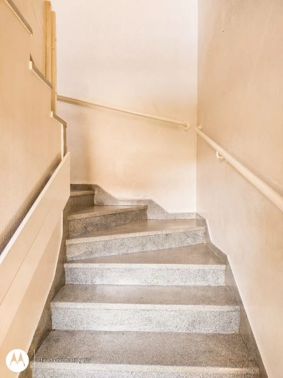 Conjunto Habitacional Eucalipto