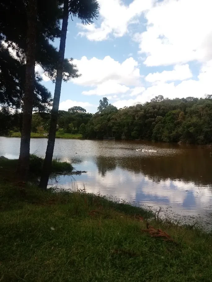 Fazenda/Sítios/Chácaras À Venda Contenda São José Dos Pinhais