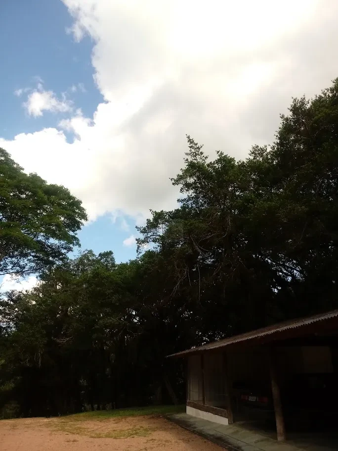 Fazenda/Sítios/Chácaras À Venda Contenda São José Dos Pinhais
