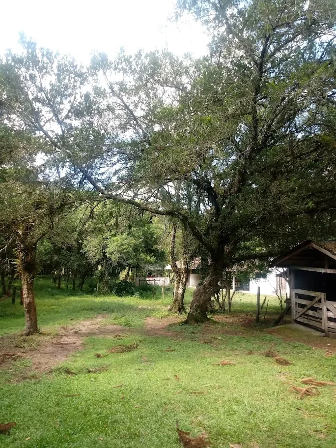 Fazenda/Sítios/Chácaras À Venda Contenda São José Dos Pinhais