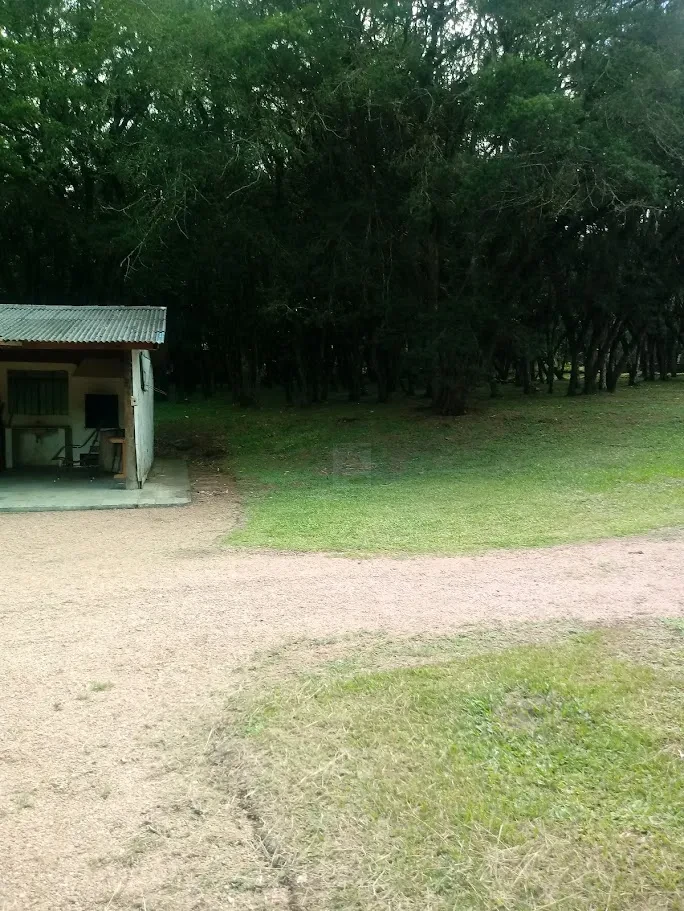 Fazenda/Sítios/Chácaras À Venda Contenda São José Dos Pinhais