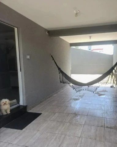 Imagens do imóveis Casa Em Condomínio Para Alugar Vargem Grande Pinhais
