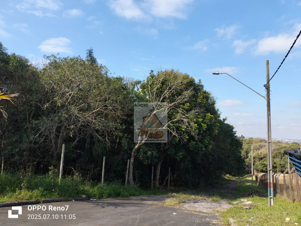 Terreno Á Venda Barigui Araucária