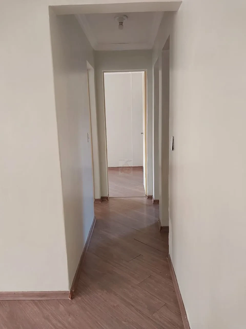 Apartamento Para Alugar Conjunto Residencial Iguape Curitiba