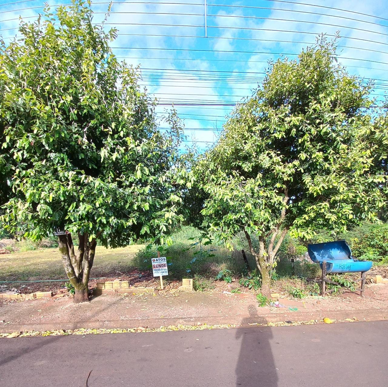 TERRENO PARQUE SÃO JORGE