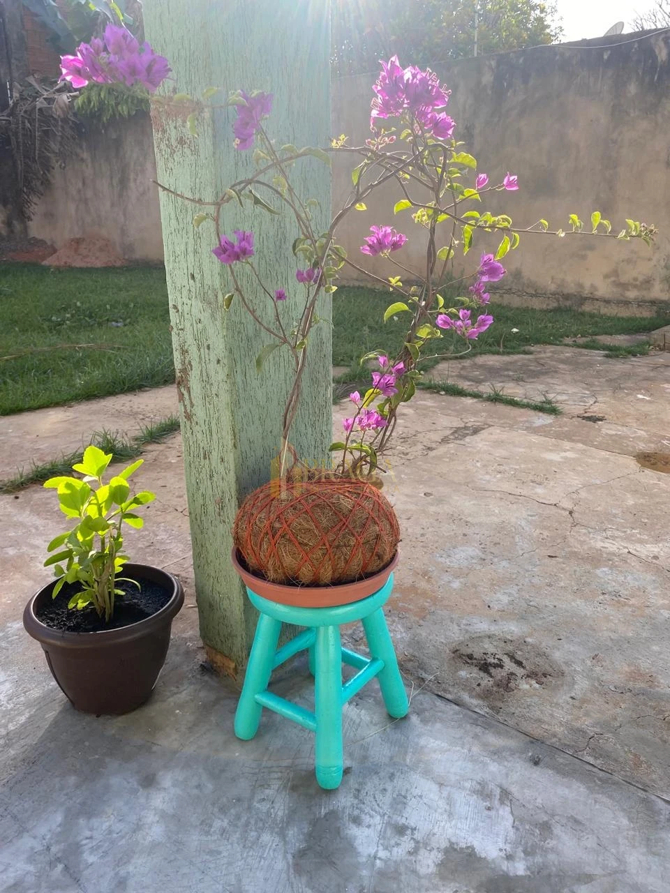 Casa À Venda No União