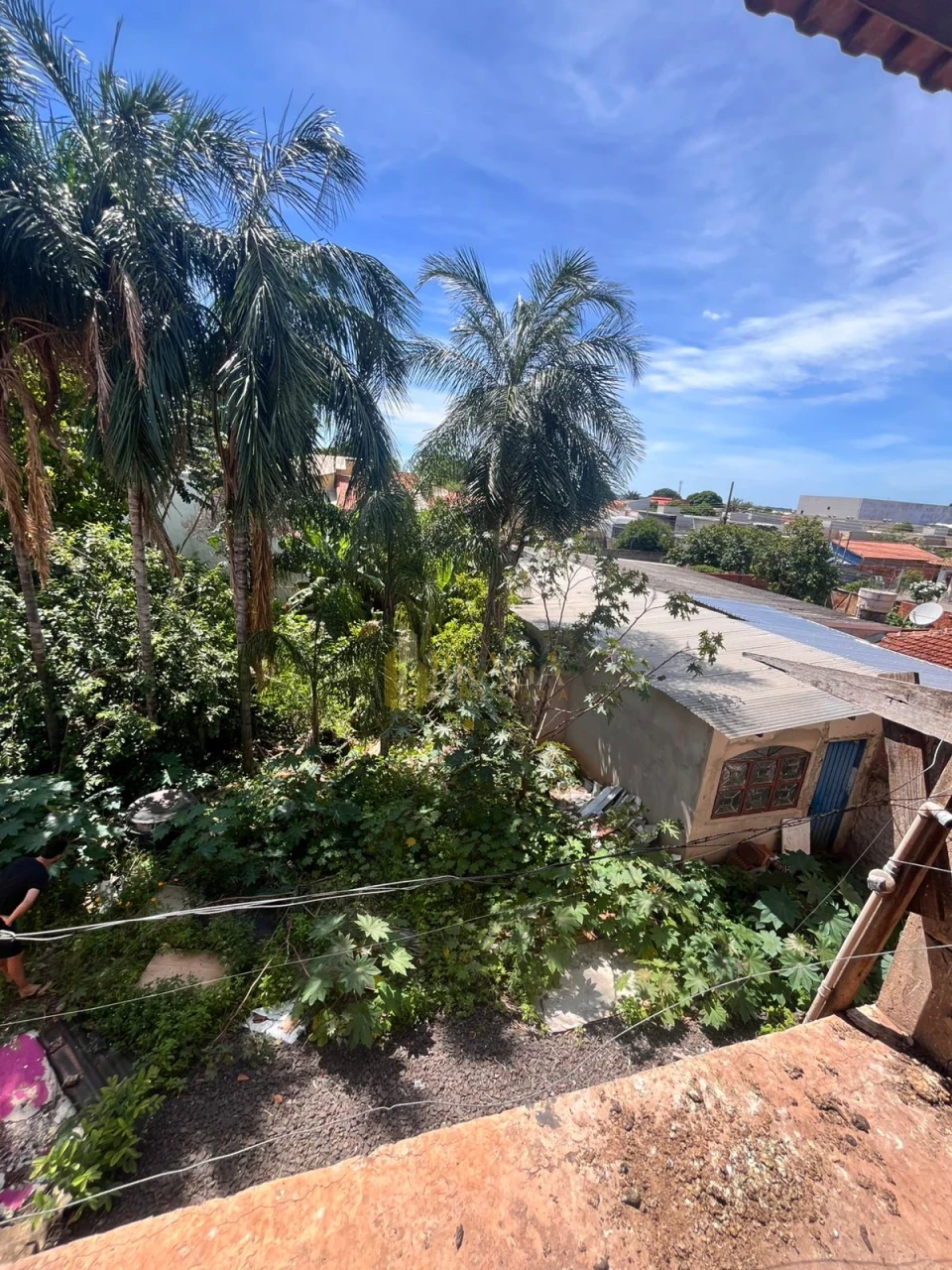 Imóvel Comercial À Venda Vila Taveirópolis Campo Grande