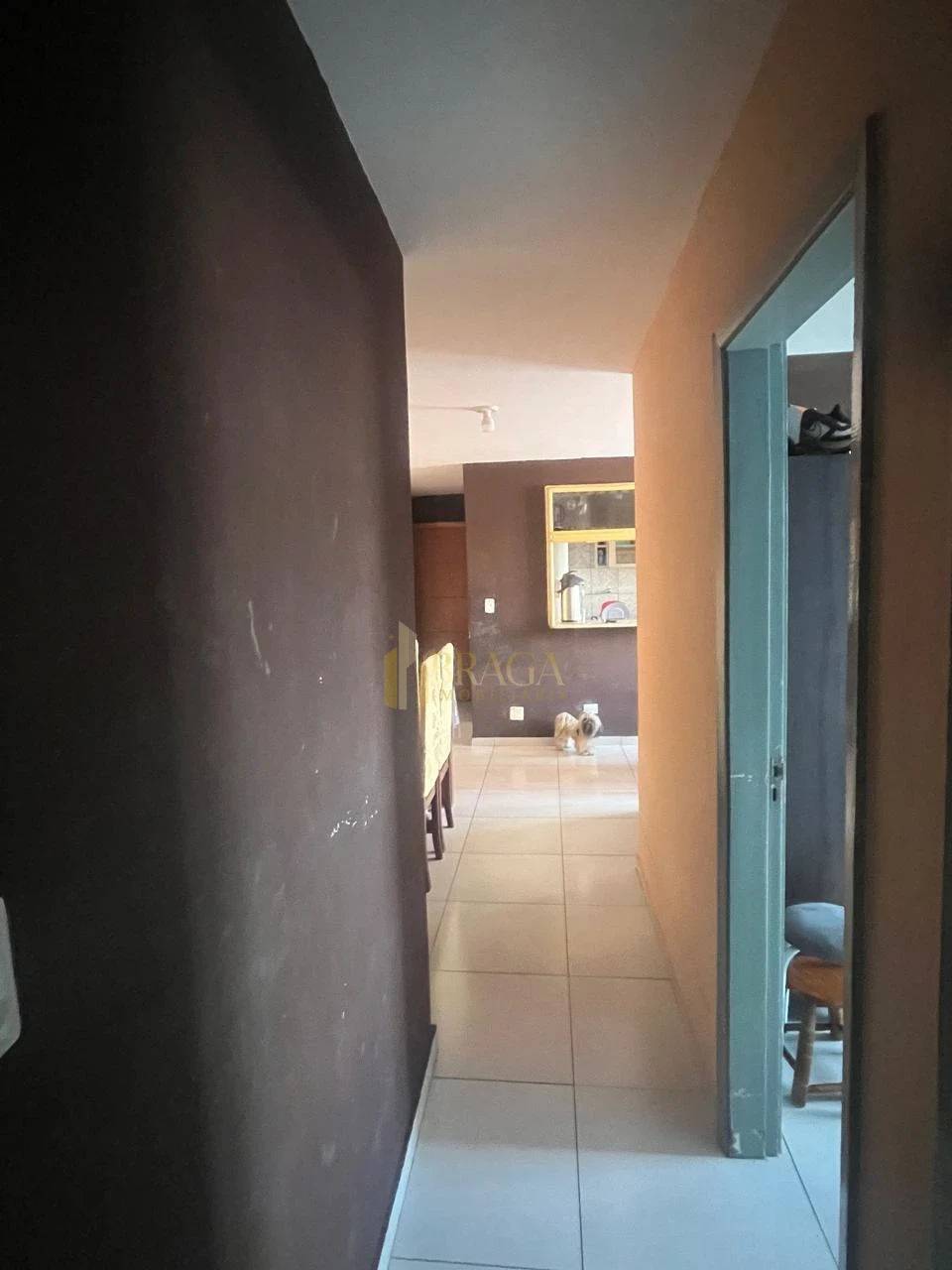 Apartamento À Venda No Jardim Petrópolis