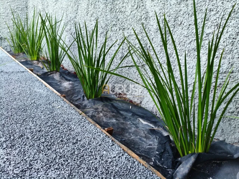 Imagens do imóveis Casa À Venda Conjunto Vivi Xavier Londrina