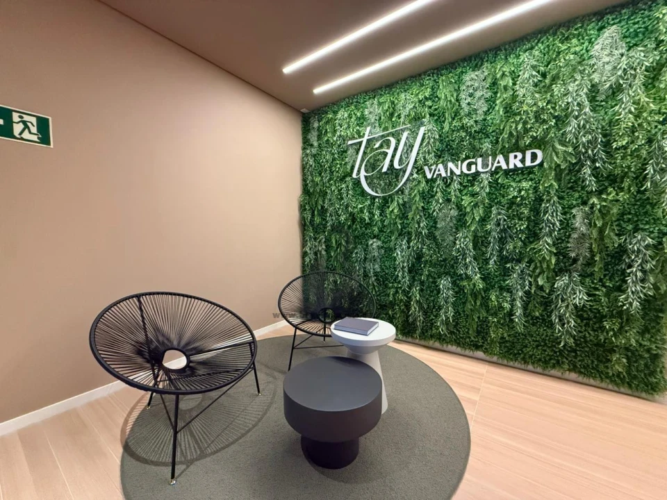 TAY -  GLEBA PALHANO