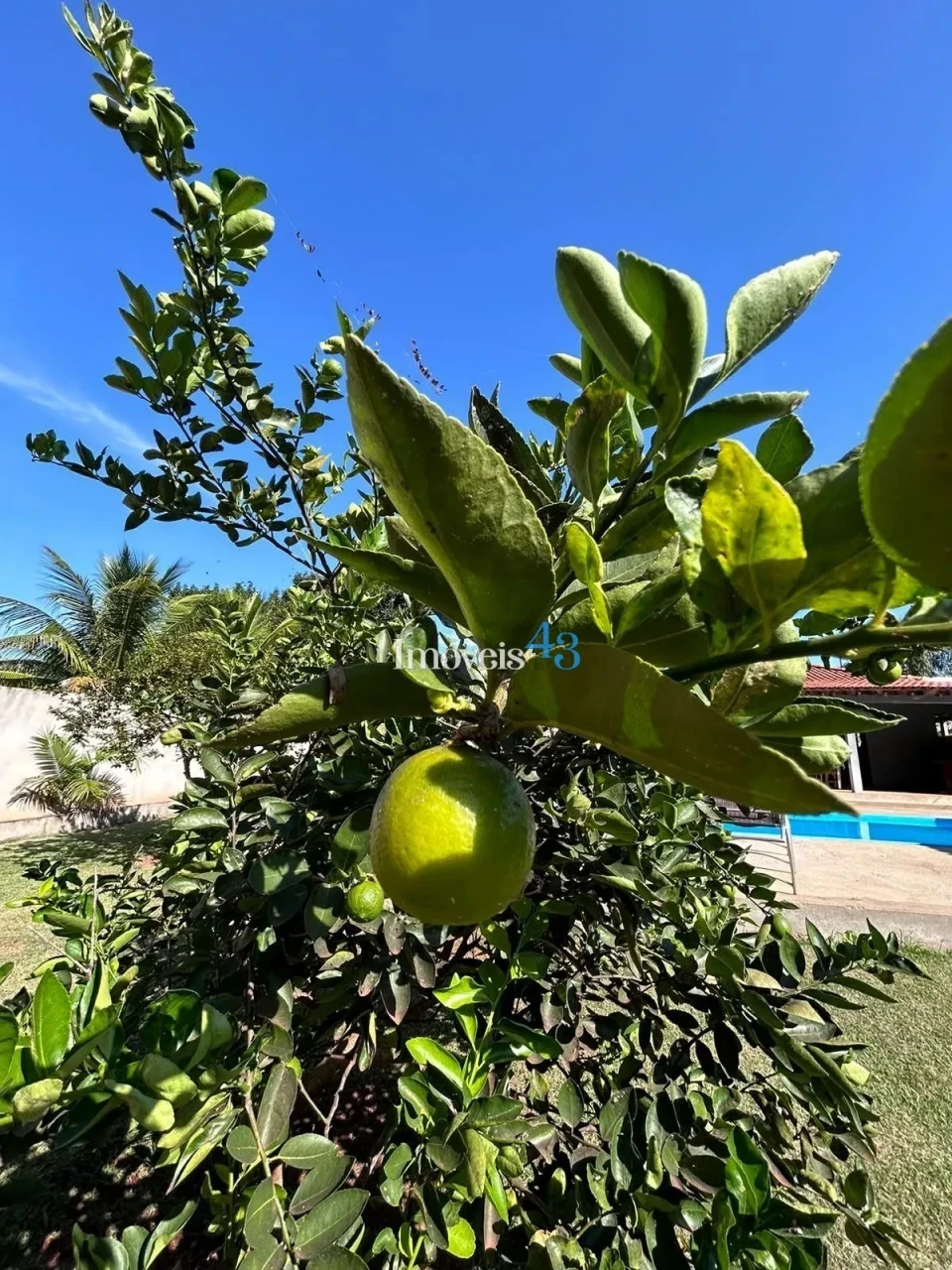 CHACARA MOLHADA - ALVORADA DO SUL -PR