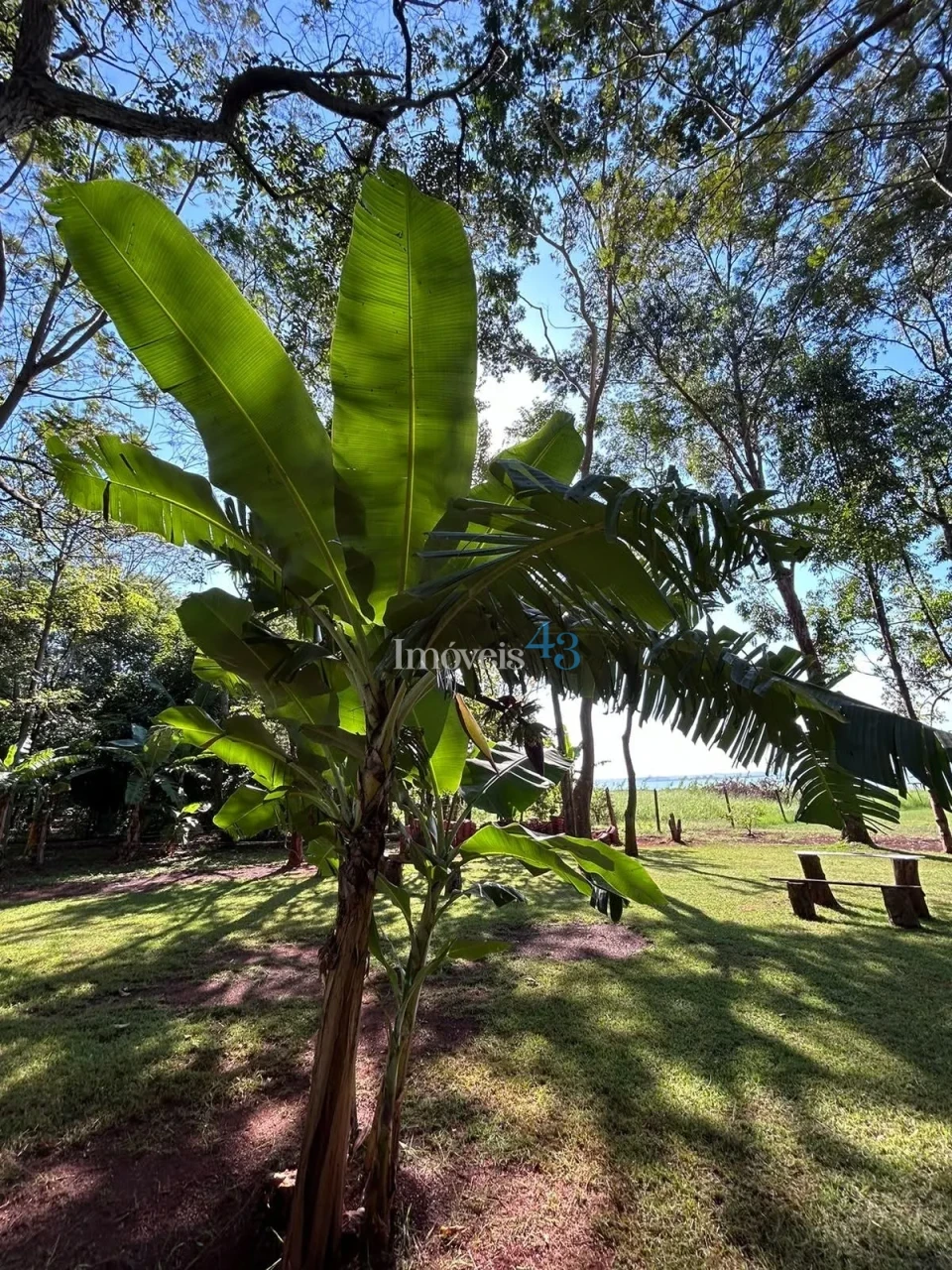 CHACARA MOLHADA - ALVORADA DO SUL -PR
