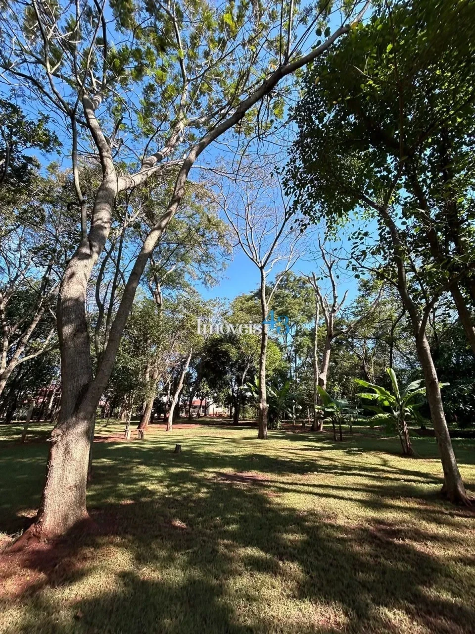 CHACARA MOLHADA - ALVORADA DO SUL -PR
