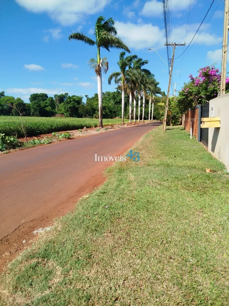 CHACARA MOLHADA - ALVORADA DO SUL -PR