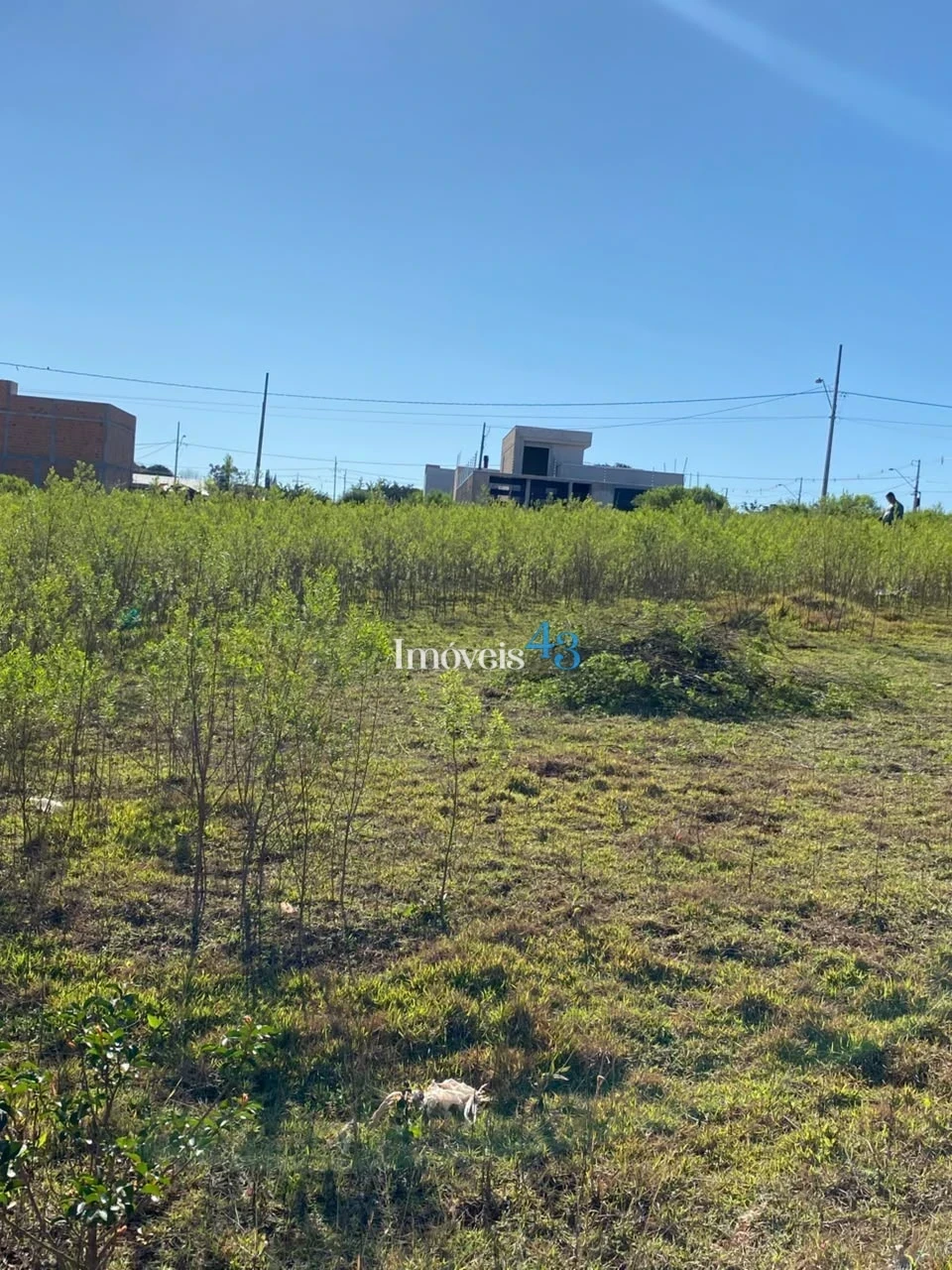 Imagens do imóveis TERRENO A VENDA - JD BELLA VIDA