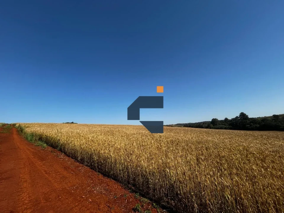 Fazenda/Sítios/Chácaras À Venda São João D'Oeste Cascavel