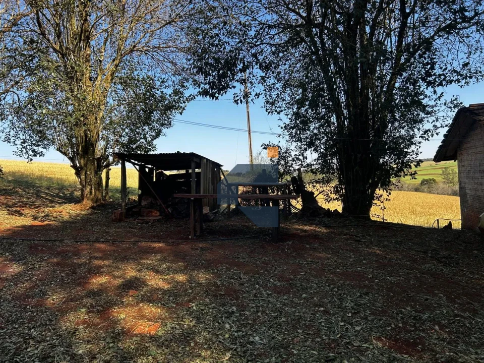 Fazenda/Sítios/Chácaras À Venda São João D'Oeste Cascavel