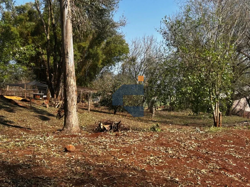 Fazenda/Sítios/Chácaras À Venda São João D'Oeste Cascavel