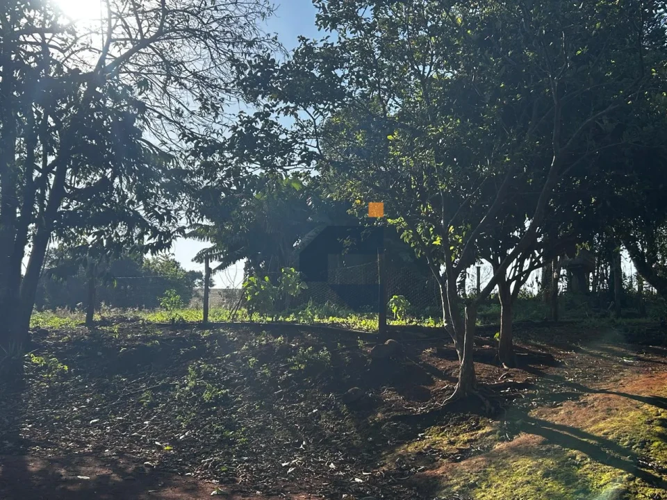 Fazenda/Sítios/Chácaras À Venda Zona Rural Cascavel