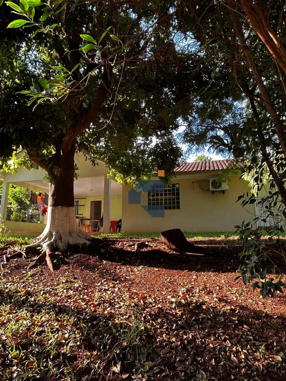 AREA RURAL A VENDA EM LINDOESTE