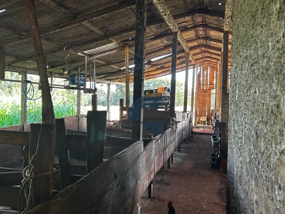 Fazenda/Sítios/Chácaras À Venda Zona Rural Cascavel