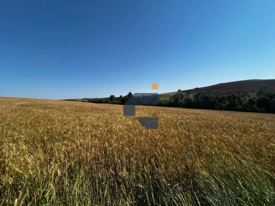 Fazenda/Sítios/Chácaras À Venda São João D'Oeste Cascavel