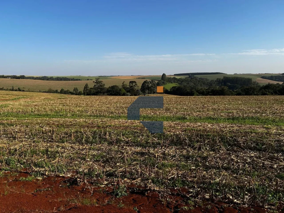 Fazenda/Sítios/Chácaras À Venda Zona Rural Cascavel