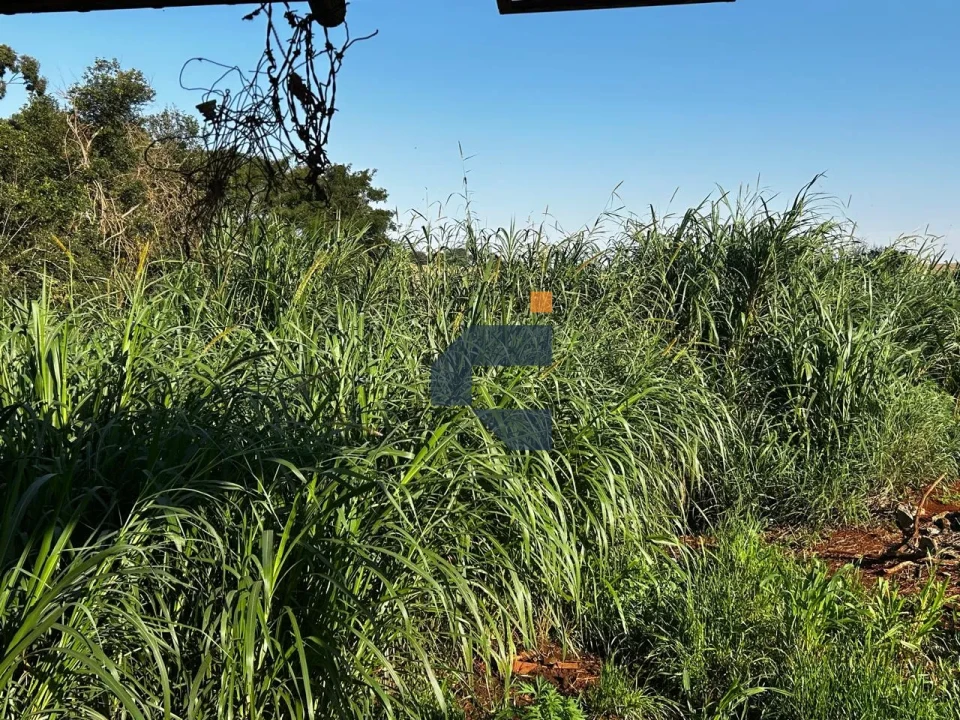 Fazenda/Sítios/Chácaras À Venda Zona Rural Cascavel