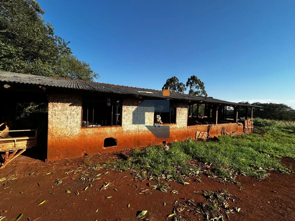 Fazenda/Sítios/Chácaras À Venda Zona Rural Cascavel