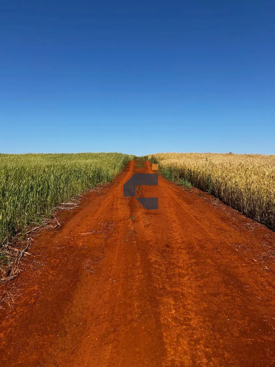Fazenda/Sítios/Chácaras À Venda São João D'Oeste Cascavel