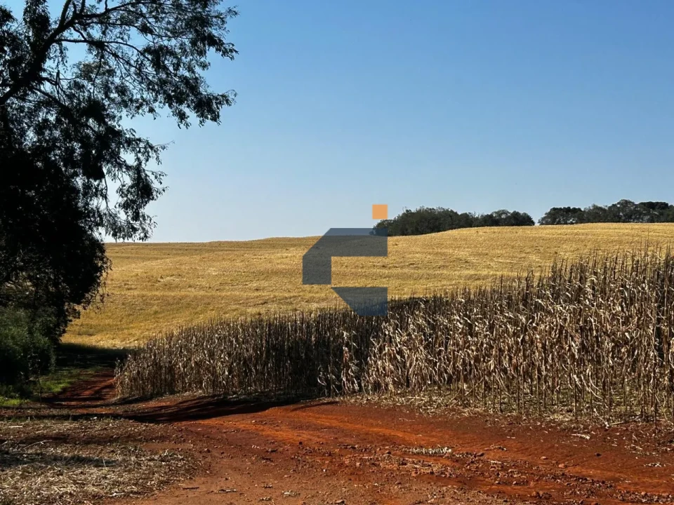 Fazenda/Sítios/Chácaras À Venda São João D'Oeste Cascavel