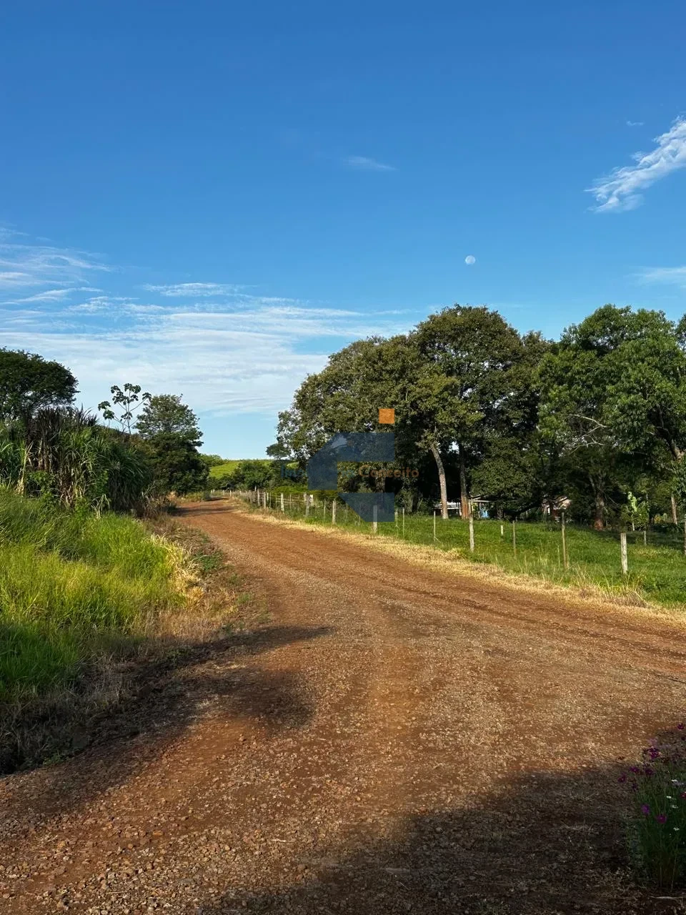AREA RURAL A VENDA EM LINDOESTE