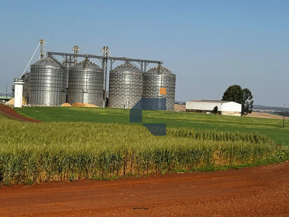 Fazenda/Sítios/Chácaras À Venda São João D'Oeste Cascavel