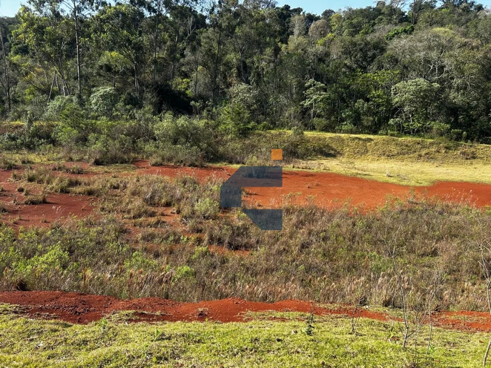 Fazenda/Sítios/Chácaras À Venda São João D'Oeste Cascavel