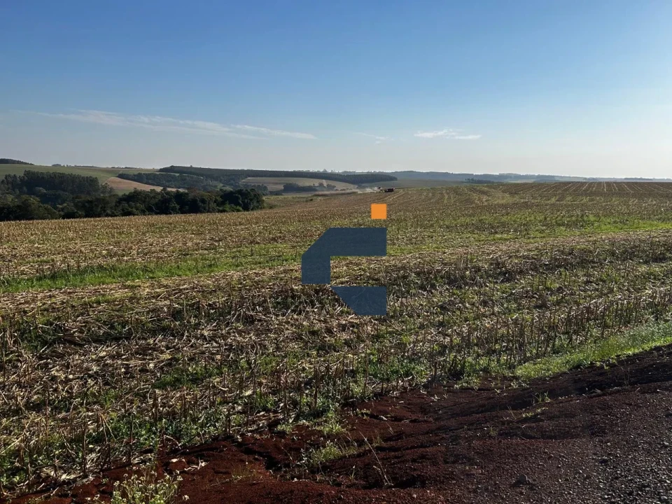 Fazenda/Sítios/Chácaras À Venda Zona Rural Cascavel