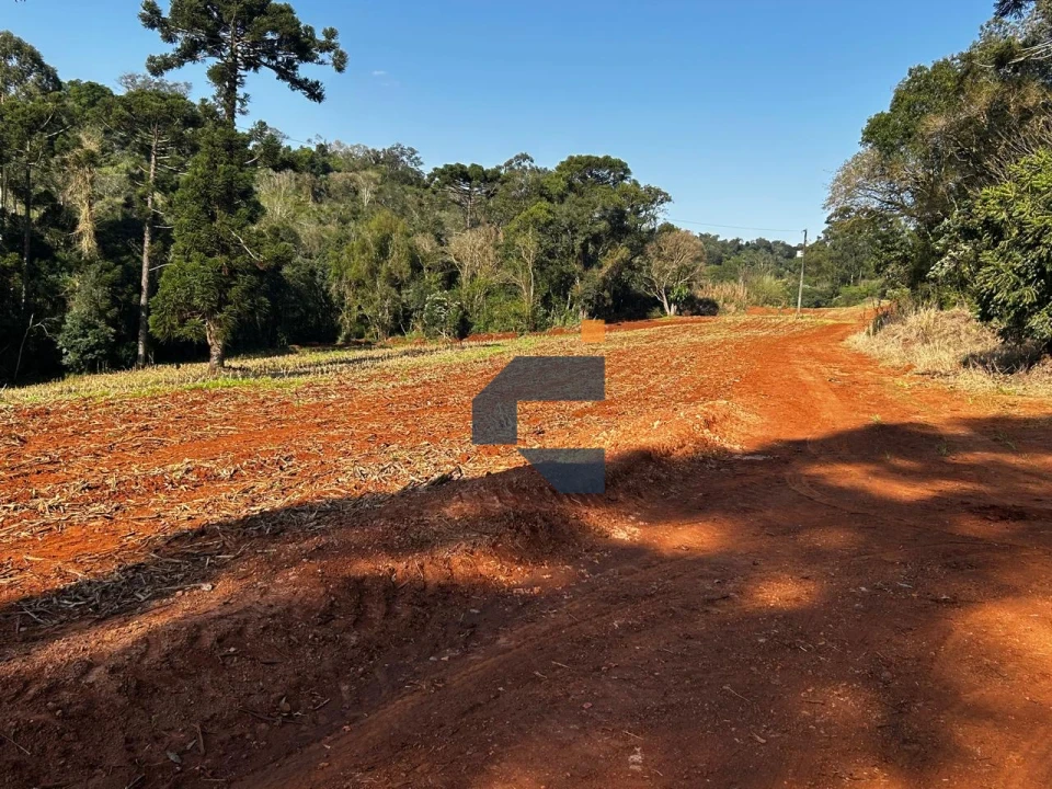 Fazenda/Sítios/Chácaras À Venda São João D'Oeste Cascavel