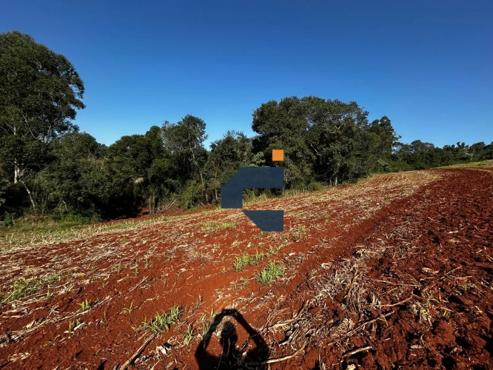 Fazenda/Sítios/Chácaras À Venda São João D'Oeste Cascavel