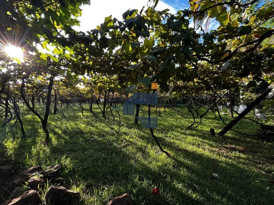 AREA RURAL A VENDA EM LINDOESTE