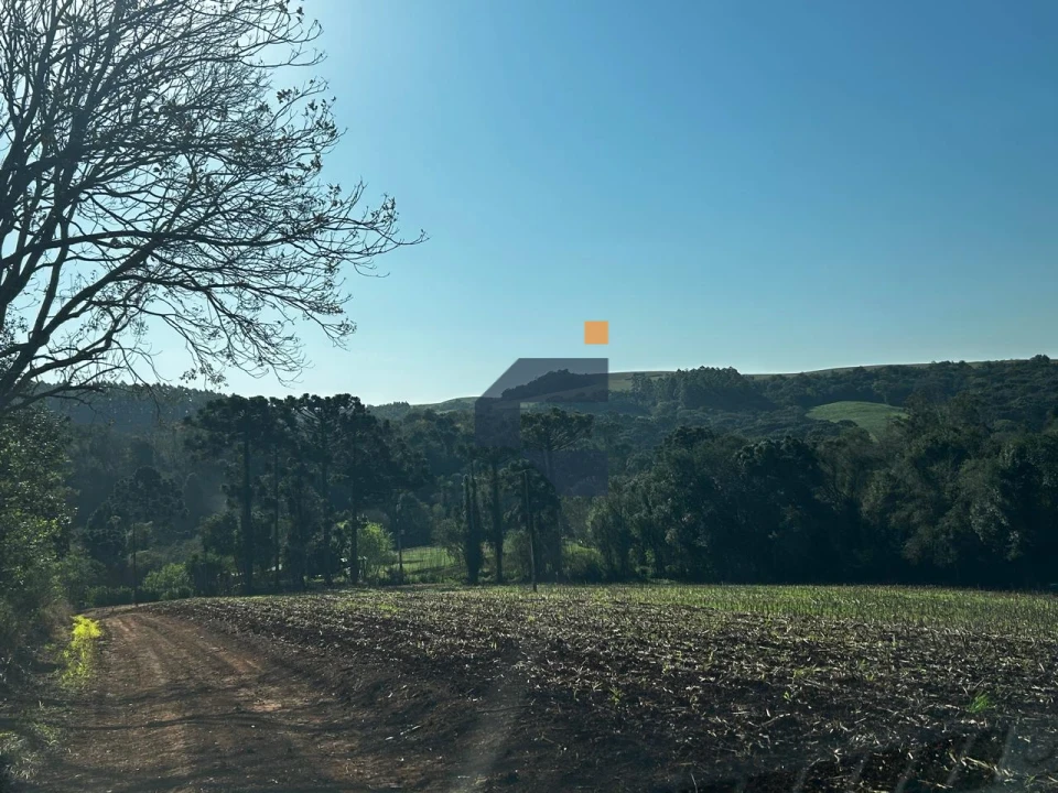 Fazenda/Sítios/Chácaras À Venda São João D'Oeste Cascavel