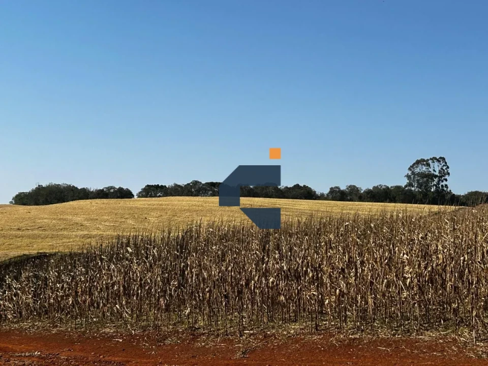 Fazenda/Sítios/Chácaras À Venda São João D'Oeste Cascavel