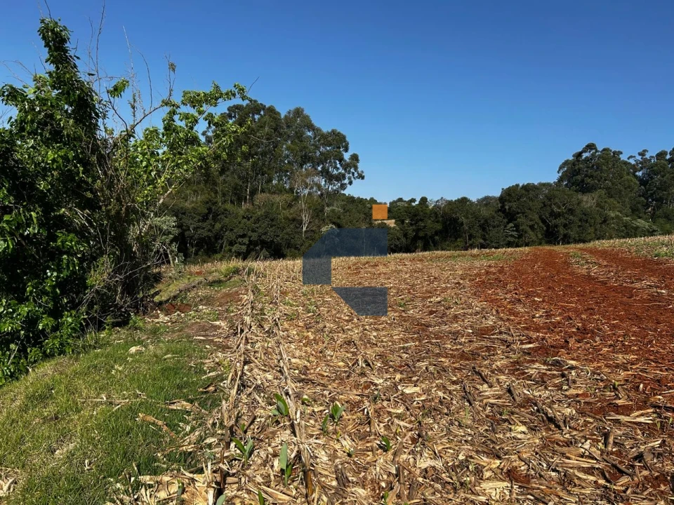 Fazenda/Sítios/Chácaras À Venda São João D'Oeste Cascavel