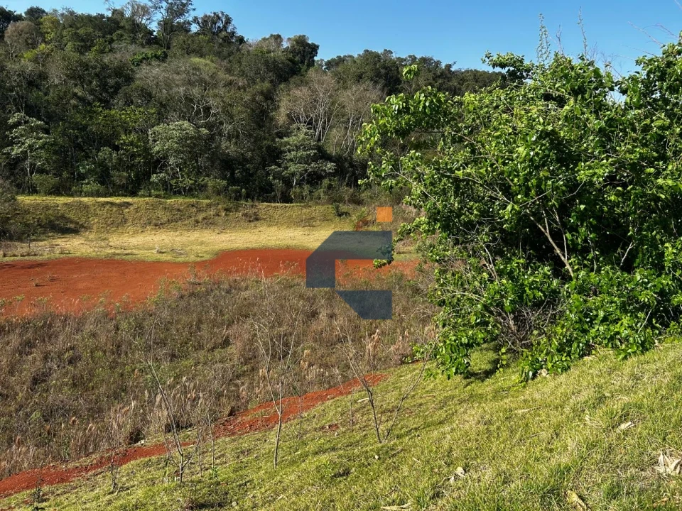 Fazenda/Sítios/Chácaras À Venda São João D'Oeste Cascavel