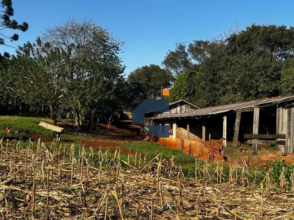 Fazenda/Sítios/Chácaras À Venda Zona Rural Cascavel