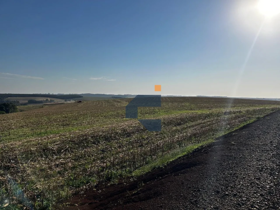Fazenda/Sítios/Chácaras À Venda Zona Rural Cascavel