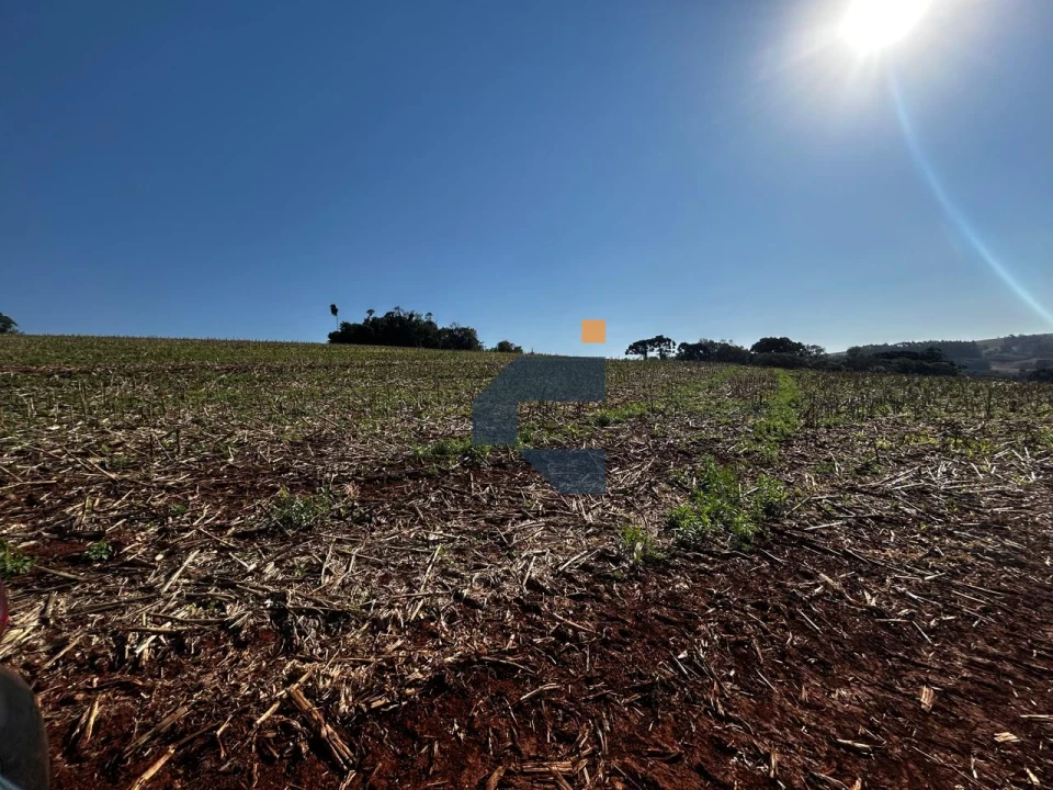 Fazenda/Sítios/Chácaras À Venda São João D'Oeste Cascavel